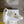 cd star sneaker white cream calfksin