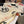 BLANKET IN WHITE MIX COLORFUL MILK VELVET 152041