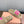 Miu slippers Light Brown With Pink Lettering Pure Wool