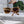 TRIOMPHE SUNGLASS 497816 IN NUDE METAL