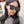 TRIOMPHE SUNGLASSES 552776 IN BLACK ACETATE TEXT LOGO