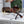 TRIOMPHE SQUARE SUNGLASSES 552781 IN HAVANA ACETATE