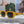 MONTAIGNE SUNGLASS 571593 IN YELLOW ACETATE TEXT LOGO
