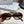 TRIOMPHE SUNGLASSES CL40194 IN ACETATE