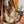 SQUARE SILK SCARF MALLES MERVEILLEUSES 90 CM BROWN 399995