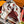 UP AND AWAY 140 CM SQUARE SILK SCARF COLORFUL 400074