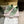 Jimmy Diamond Light Flex Sneaker Green Suede Leather 715045