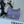 CC 23C Small Hobo Bag 21.5 Violet Lambskin Gold Hardware