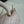 CC 24K Coco Handle Nano 14.5cm Light Pink Grained Calfskin Gold Hardware