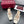 GG 26s Horsebit Slingback 2.5cm White Sheepskin 688313