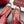 GG 26s Horsebit Slingback 2.5cm Burgundy Sheepskin 688314