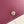RICHELIEU WALLET 19 IN WINE RED GOYARDINE CANVAS