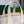 SMALL BELHARRA 24 IN WHITE GOYARDINE CANVAS AND LAMBSKIN
