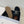 CL Pitea Clog In Black Suede Calfskin 319291