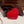 LE COEUR BAG 21 IN CANDY RED PATENT CALFSKIN ATTACHED STRASS