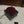 LE COEUR BAG 21 IN BURGUNDY RED SUEDE