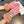 GLOVES IN ROUGE PINK WOOL WITH RABBIT FUR 439142