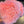 FINGERLESS HALF GLOVES IN ROUGE PINK RABBIT FUR 462276