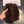 FINGERLESS GLOVES IN GINGERBREAD BROWN RABBIT FUR 462280
