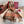 BBR Classic Embroidered Scarf 185CM Rose Brown Cashmere 292817