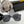 MONTAIGNE SUNGLASS CD4641 IN METAL