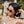 MONTAIGNE SUNGLASS CD4635 IN ACETATE