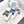 SQUARE SCARF 140 CM IN WHITE MIX COBALT BLUE CASHMERE AND SILK 390940