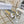 CD 26s Médaillon Buckle Slides 5.5cm Lambskin 927377