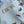 CD 25 Butterfly Short-sleeved T-shirt White