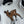 Chanel 25 Deer Print Sweater White mix Black Wool 318394