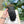 GLOVES IN BLACK LAMBSKIN 463822