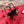 maysale 70 black suede calfskin