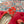 LV Shake Flat Ballerina Bright Red Lambskin