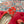 LV Shake Flat Ballerina Bright Red Lambskin