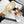 CC 25SS Sandals Three Straps White Calfskin 338324
