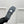 HM 26s Made Men Sandal White Black Calfskin Canvas 726898