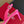 Viv Canard Slingback Pumps 55 in Pink Satin