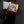 Tank Francaise Pink Gold Case Red Leather Strap