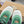 Loewe x Running Cloudtilt2.0 Sneaker White Green Calfskin