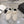 Prad 26S Sneakers Canvas 148090