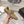 Prad 26S Low-Top Sneakers Re-Nylon Canvas Strap 148098