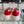 CC Sneaker Red Canvas 203267