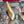 VT 25 High Heels Slingbacks Gold Cowhide 292345