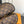 LV Cosy Comfort Mule Sandals Brown Gold Denim Leather 533464