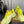 Loewe x On Cloudsolo Sneakers Lime Yellow Polyester and Mesh 533490