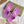 GG 26s Horsebit Thong Sandals Purple Rubber 826210