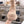 The Row 2025 Lace-up Boot Apricot Suede 543369