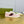 GG TENNIS 1977 TRAINER LIGHT PINK CANVAS