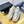 CD Star Platform Sneaker In Gold Mix White Calfskin 111092