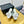 cc 25 bow mule sandal 50mm white sheepskin 238475